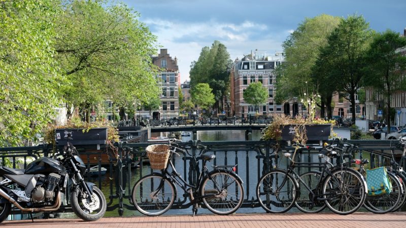 Wybierając studia w Holandii, studenci często decydują się na uniwersytet w Amsterdamie